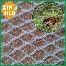 100% virgin HDPE vineyard anti bird protection net
